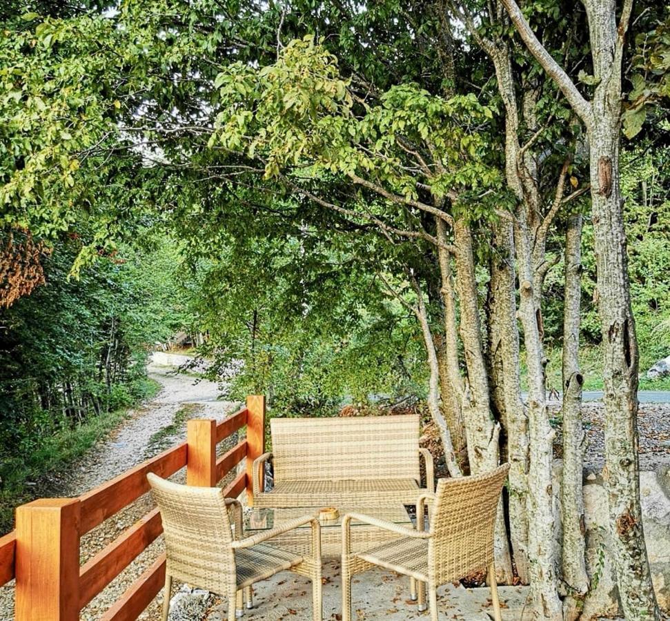 Oasis Of Peace Apartman Cetinje Kültér fotó